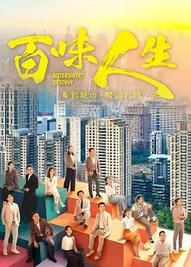 幻影之城 电视剧 2025